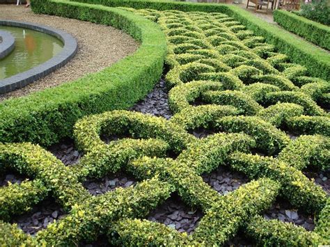 Examples of a Knot Garden | Boxwood garden, Parterre garden, Topiary garden