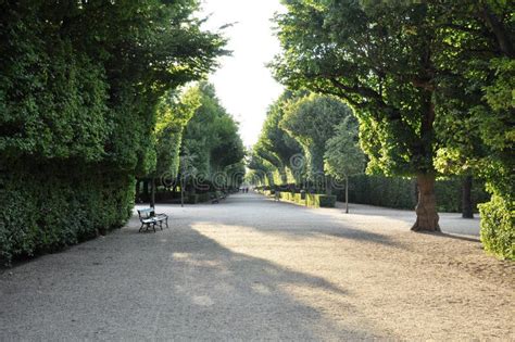 Schonbrunn Gardens stock image. Image of vienna, austria - 69416323