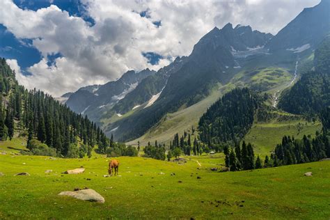 Srinagar Side Trips: Top 8 Kashmir Valley Tourist Places