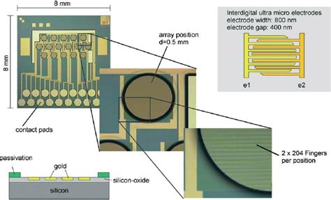 Overview of the chip design and layout. Depicted diagonally are the ...