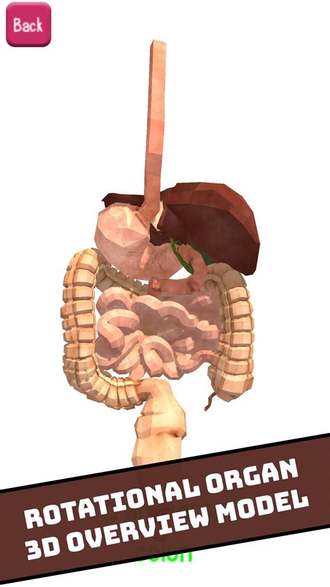 Tải xuống APK Human Visual Anatomy Atlas 3D - Bones Organs 2018 cho Android