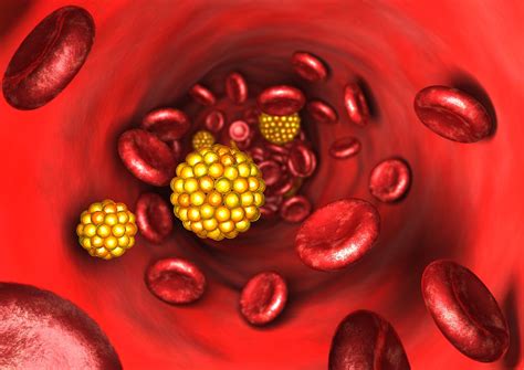 The Function of Lipoproteins in the Body