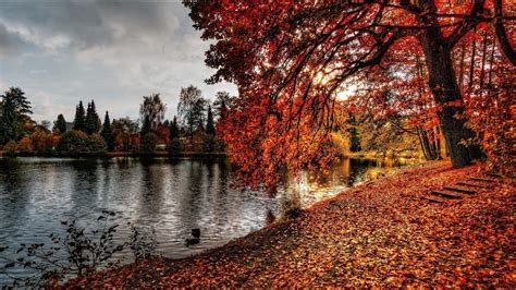 🔥 Download Feel The Air Of Fall With This Stunning 4k Autumn by @katheriner | Autumn 4k ...