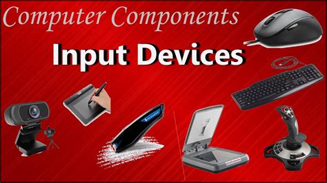 Input Devices of Computer | (Examples and purpose) - YouTube