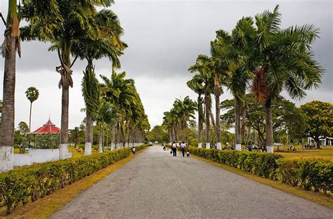 Guyana Botanical Gardens located in Georgetown. | Guyana View