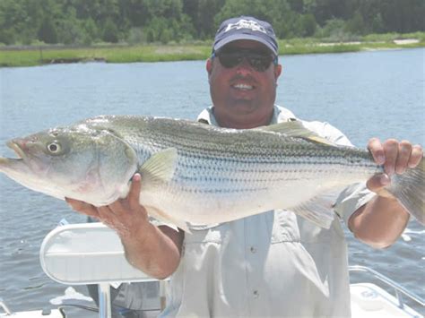 Ocean Isle Beach Fishing Photos