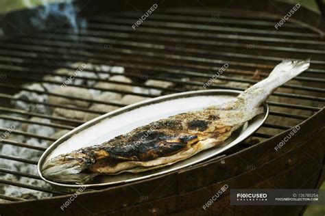 Whole grilled fish — Healthy Eating, vertebrate - Stock Photo | #126785254