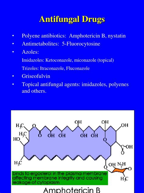 Antifungal Drugs | PDF | Drugs | Pharmacology