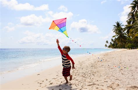 Flying Kites On The Beach