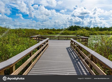 Anhinga Trail Everglades National Park Florida Usa Stock Photo by ...