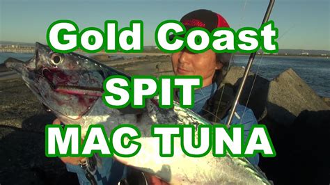 Gold Coast spit mac tuna Rocky D land base fishing Vol.120 - YouTube