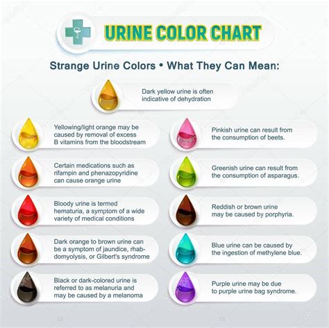 Urine Color Chart 2 — Stock Vector © Sergey7777 #177725514