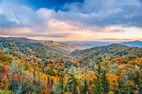 11 Things To Know Before Visiting Great Smoky Mountains National Park ...