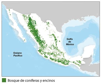 Vegetación. Cuéntame de México