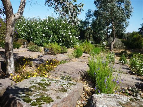 Walk Walk Melbourne: The Australian Garden @ Cranbourne Royal Botanic Gardens