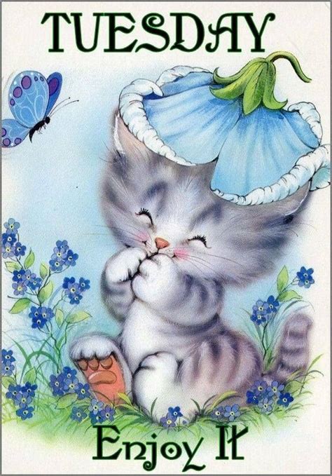 Tuesday! Enjoy it | Birthday postcards, Tuesday greetings, Cute art