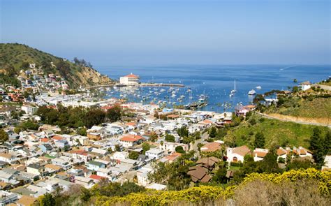 Catalina Island Scenic Tour of Avalon | Find Guided Tours