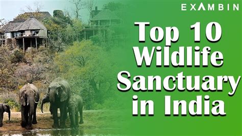 On The Political Map Of India Mark Wildlife Sanctuaries And Bird Sanctuaries