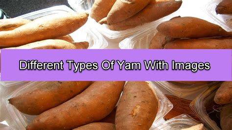 8 Different Types Of Yam With Images - Asian Recipe