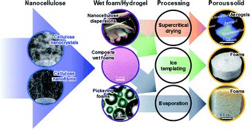 Nanocellulose-based foams and aerogels: processing, properties, and applications - Journal of ...