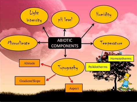 Biology - Abiotic Components