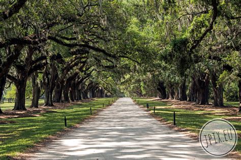 Boone Hall Plantation, USA