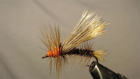 Fly Tying a Stimulator Skwala Stonefly Dry Fly (Stonefly dry fly)How to ...