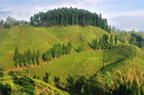 Mirik:The Place Where You Get Munnar and Nainital Together