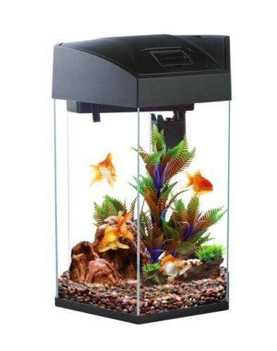 Shrimp tank size - General Discussion - C.A.R.E.