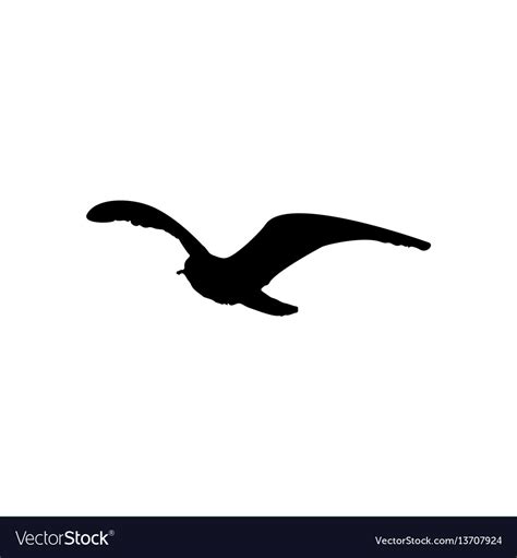 Flying seagull bird black silhouette isolated on Vector Image