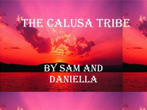 PPT - The calusa tribe PowerPoint Presentation, free download - ID:283187