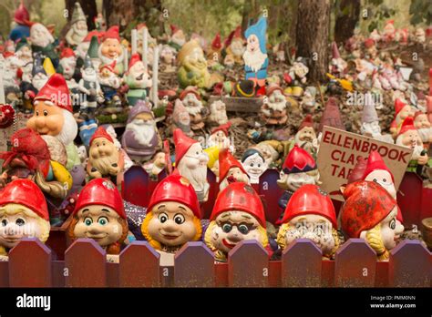 Gnomesville before the Great Gnomesville Flood of 2018 Stock Photo - Alamy