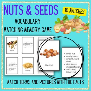 NUTS AND SEEDS Definitions Vocabulary Memory Matching Game Prostart