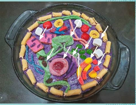 Home-based Edible Cell Model Activity (by Kyla Ilagan) | Download Scientific Diagram