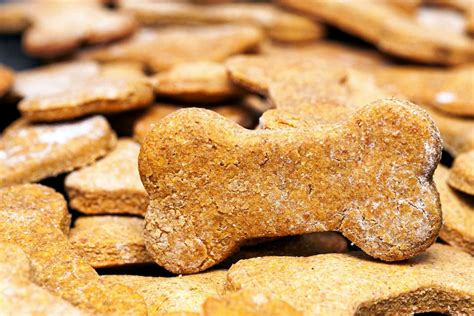 9 Grain-Free Dog Treats That Are So Yummy - This Dogs Life