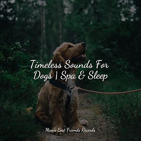 Timeless Sounds For Dogs | Spa & Sleep de Dog Music, Deep Sleep & Music for Calming Dogs no ...