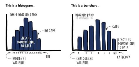 Similarities Between Bar Chart And Histogram - Chart Examples