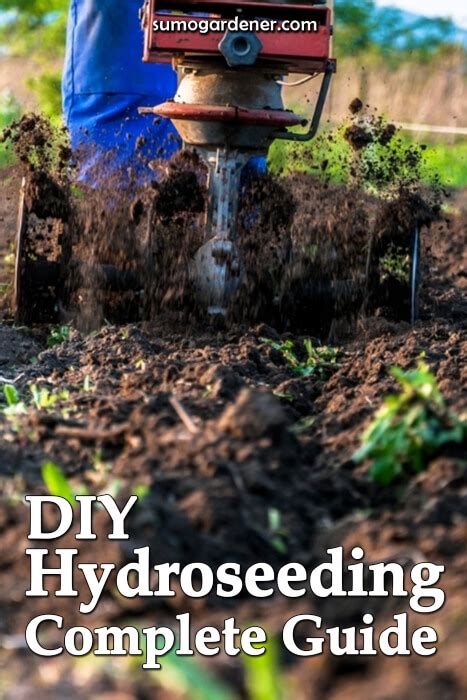 DIY Hydroseeding | Complete Guide - Sumo Gardener