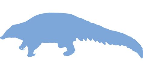 Download Pangolin, Animal, Silhouette. Royalty-Free Vector Graphic ...