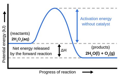 Potential Energy Diagram