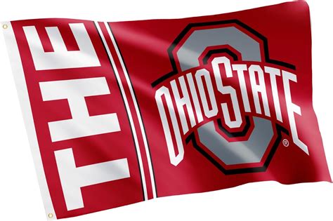 Amazon.com : Desert Cactus Ohio State University Flag Buckeyes OSU Flag ...