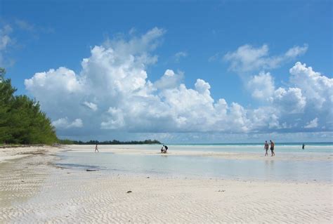 Grand Bahama island - gold rock beach | Bahamas vacation, Beach, Island