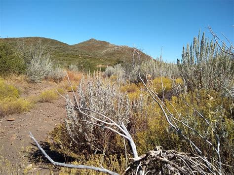 Garnet Peak Hiking Trail near Mount Laguna - The Simple Hiker