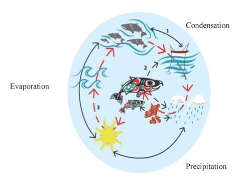 Re-Imagined Water Cycle | Open Rivers Journal