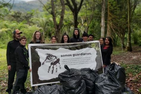 The best environmental volunteering opportunities around the world