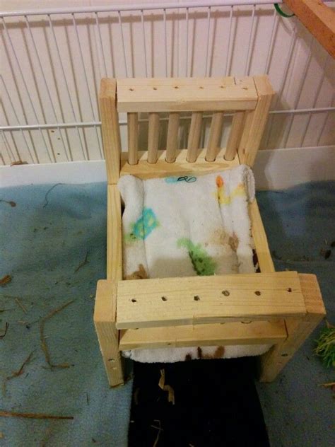 DIY wooden Guinea Pig bed | All things Guinea pig | Pinterest | Guinea ...