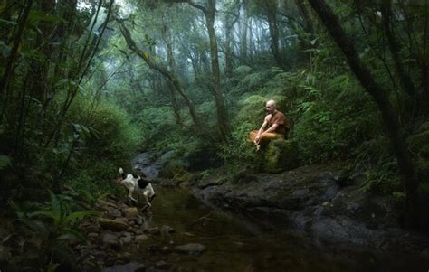 Premium Photo | Monk meditating in forest
