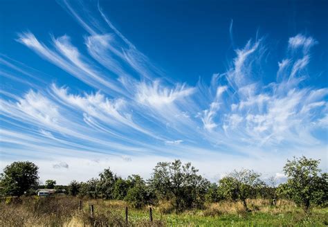 A Closer Look at the 14 Main Types of Clouds - Illuzone