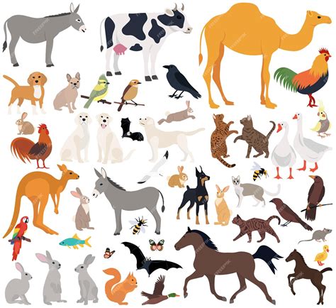 Premium Vector | Animals set in flat design isolated vector