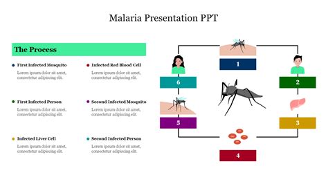 Malaria Presentation PPT Template and Google Slides